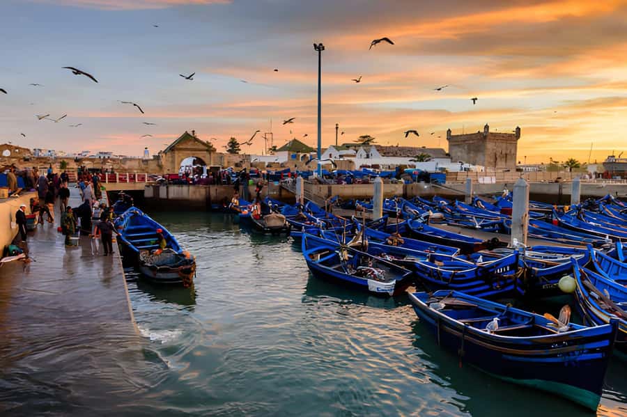 Essaouira Day Trip from Agadir - Free time for lunch, shopping, and the beach