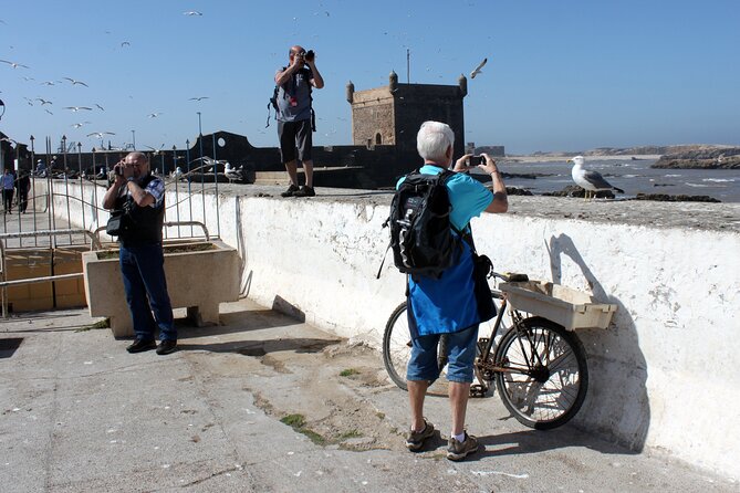 Essaouira Day Trip from Marrakech - Medina lanes, souks, and cedar workshops