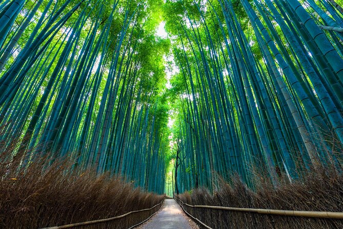 Explore Kyoto | Private Tour - Local English Driver(guide option) - Price and group value