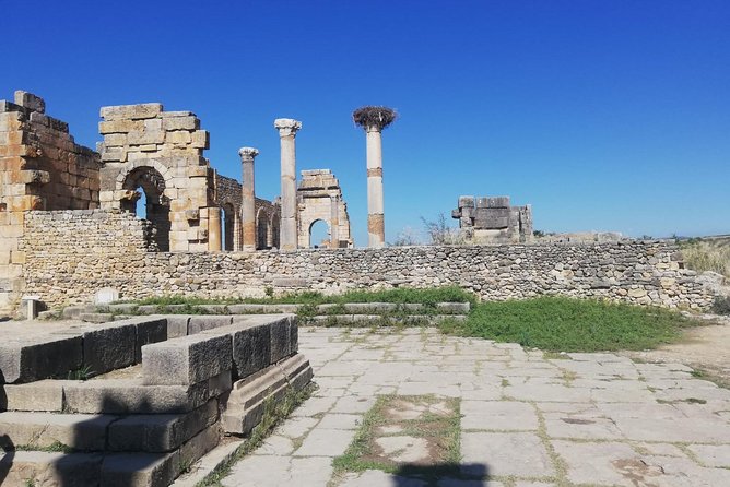 Fes to Volubilis, Moulay Idriss and Meknes Private Day Trip - Why this private day trip works from Fez