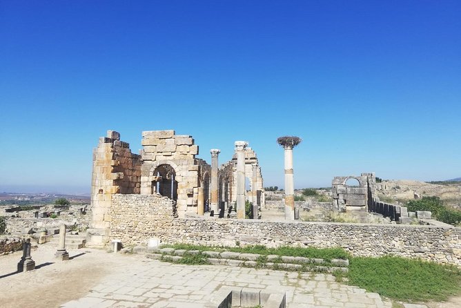 Fes to Volubilis, Moulay Idriss and Meknes Private Day Trip - Meknes: imperial gates, granaries, and a changing sight list