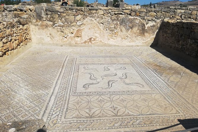 Fes to Volubilis, Moulay Idriss and Meknes Private Day Trip - The drivers and the level of guiding