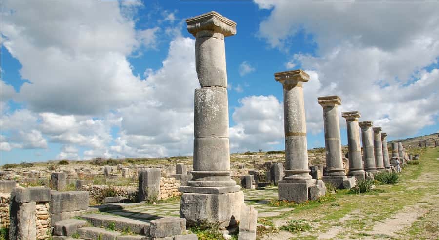 Fes: Volubilis Roman Ruins, Mouly Idriss, & Meknes Day Trip - Key points to know before booking