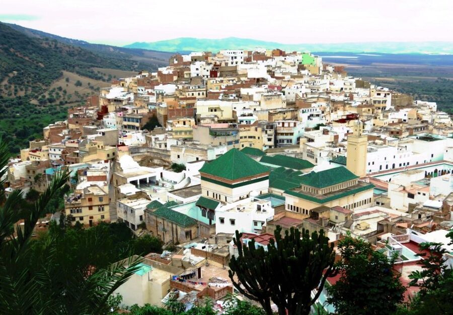 Fes: Volubilis Roman Ruins, Mouly Idriss, & Meknes Day Trip - Should you book it?