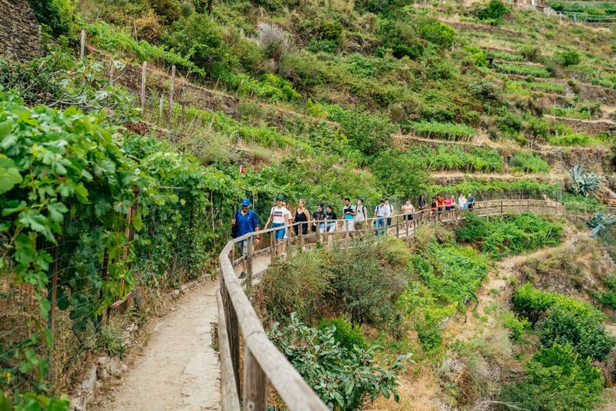 Florence: Cinque Terre Day Trip with Optional Hiking or Pisa - Why this day trip works from Florence