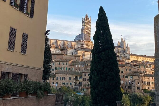 Florence: Day Trip with Free Time in San Gimignano and Siena - Siena, the larger second stop