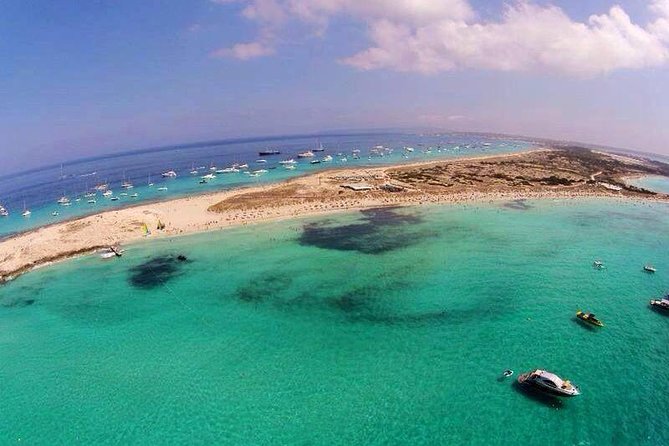 Formentera Day Trip from Ibiza on Private Luxury Catamaran - Who will enjoy this charter most