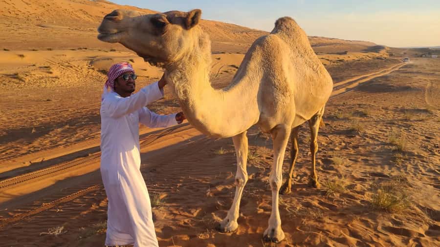 From Agadir: Sahara Desert Day Trip and Camel Ride - From Agadir to the Anti-Atlas