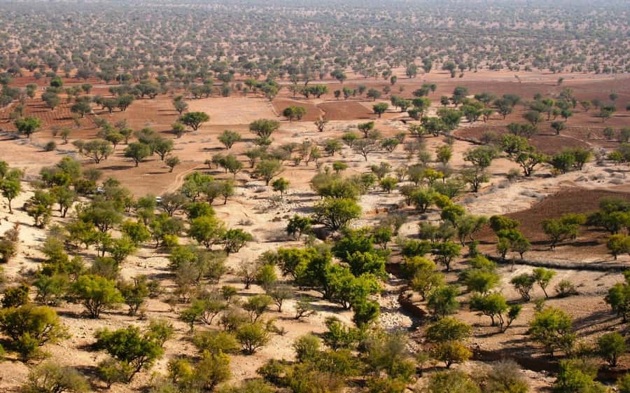 From Agadir: Sahara Desert Day Trip and Camel Ride - Argan oil and pottery workshops