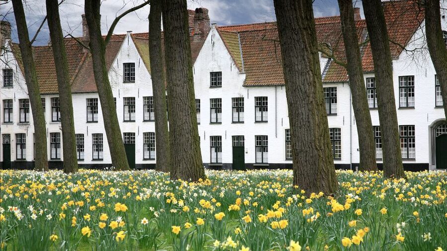 From Amsterdam: Bruges Day Trip in English with Boat Option - Grote Markt Gives You the Best Starting Point for Free Time