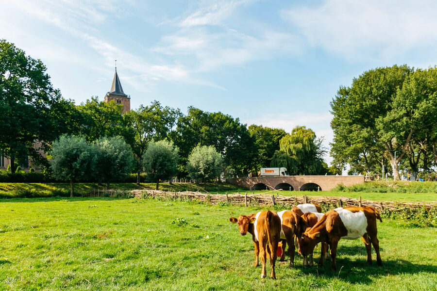 From Amsterdam: Zaanse Schans, Edam, & Marken Full-Day Trip - The optional Amsterdam canal finish