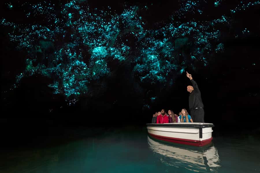 From Auckland: Hobbiton & Waitomo Caves Day Trip with Lunch - Timing, comfort, and who should book