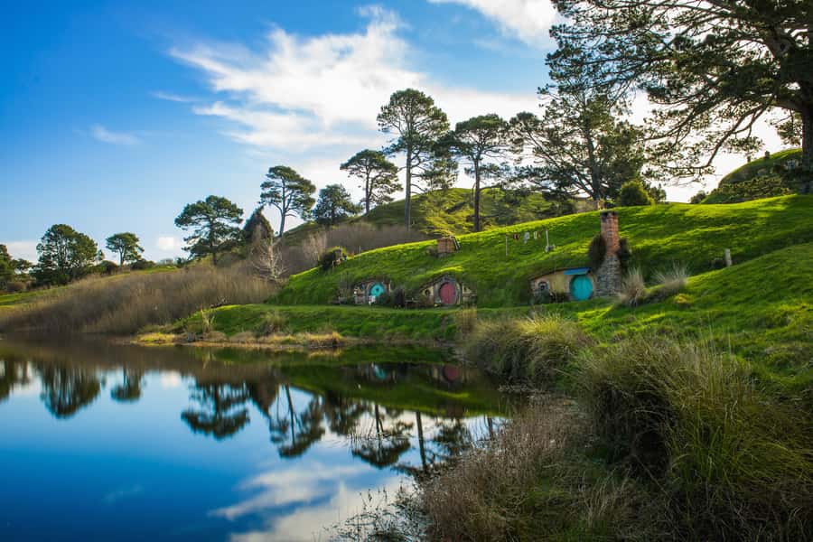 From Auckland: Hobbiton & Waitomo Caves Day Trip with Lunch - The road south through Waikato country