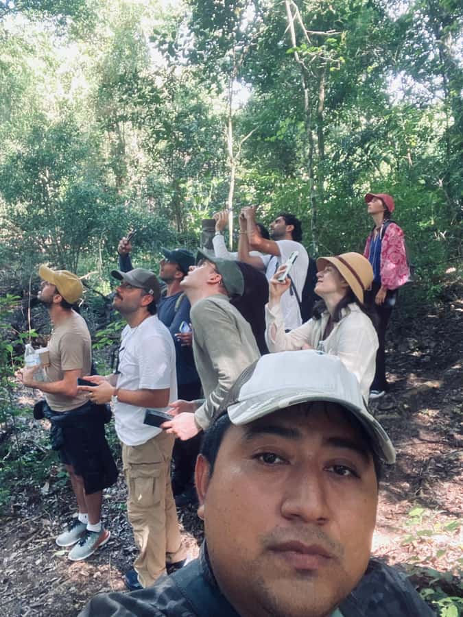 From Bacalar: Calakmul Ruins Expedition & Jungle Trek - The early pickup and the three-hour ride
