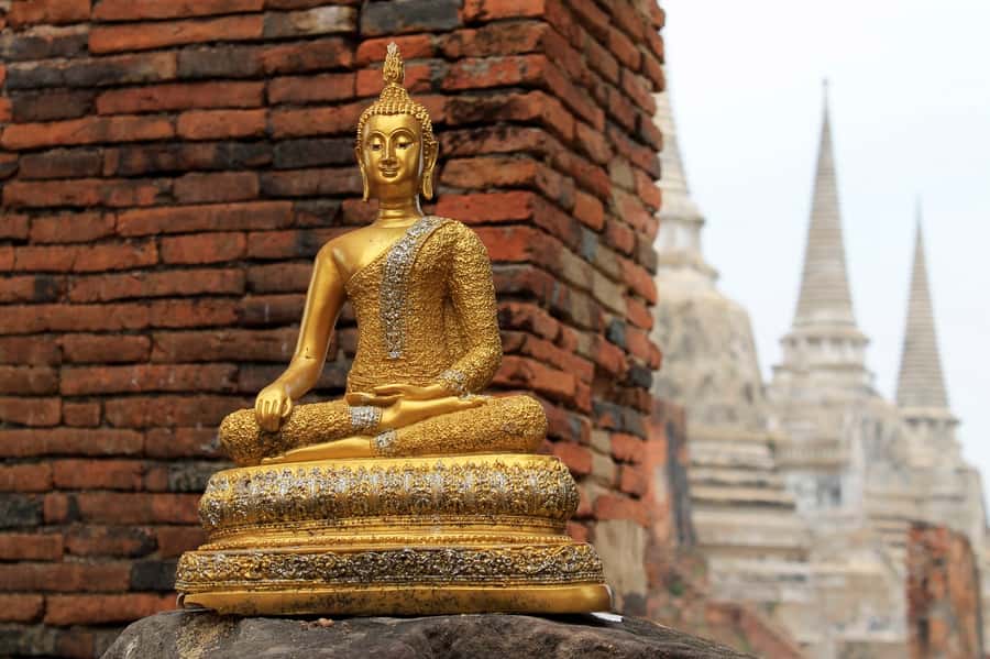 From Bangkok: Ayutthaya Full-Day Trip with Driver - Wat Mahathat and the famous tree-bound Buddha