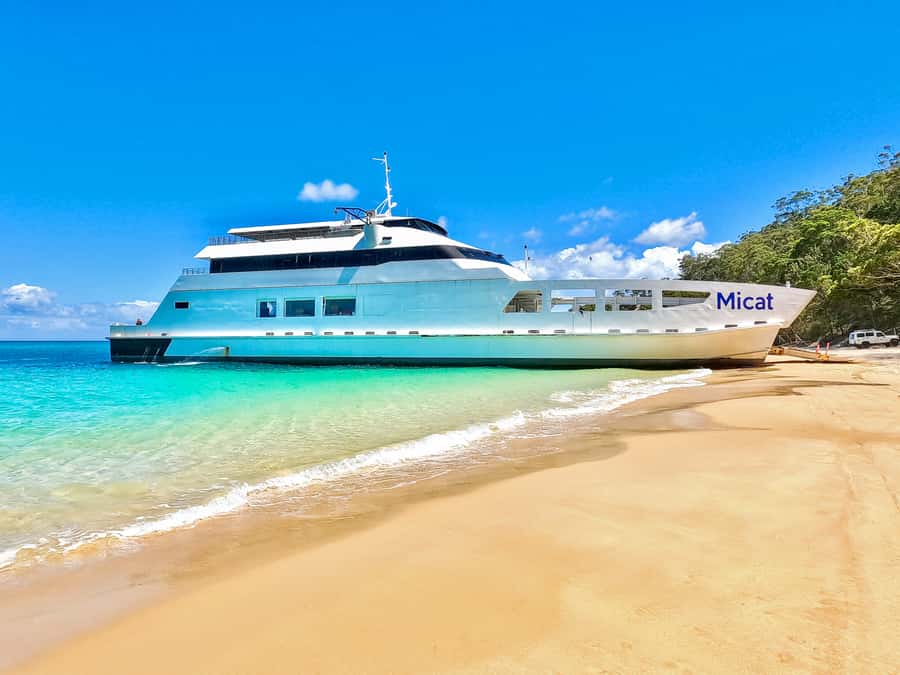 From Brisbane: Moreton Island Full-Day Trip - Snorkeling around the Tangalooma Shipwrecks