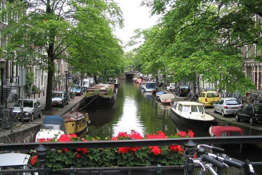 From Brussels: Cheese, Clogs & Windmills Amsterdam Day Trip - Is $71 good value?