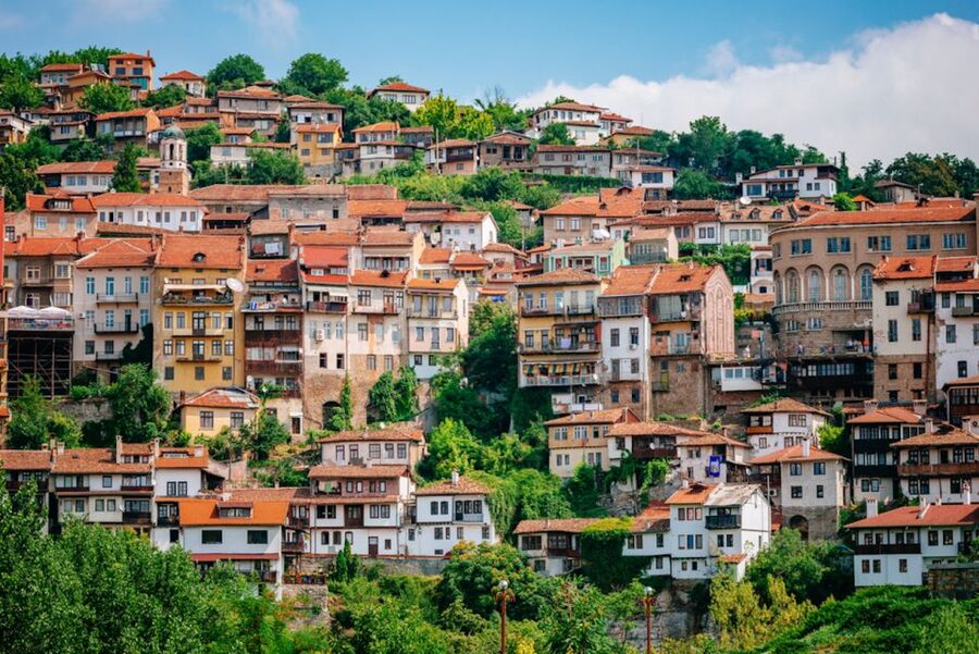 From Bucharest: Small Group Day Trip to Medieval Bulgaria - Who should book this day trip