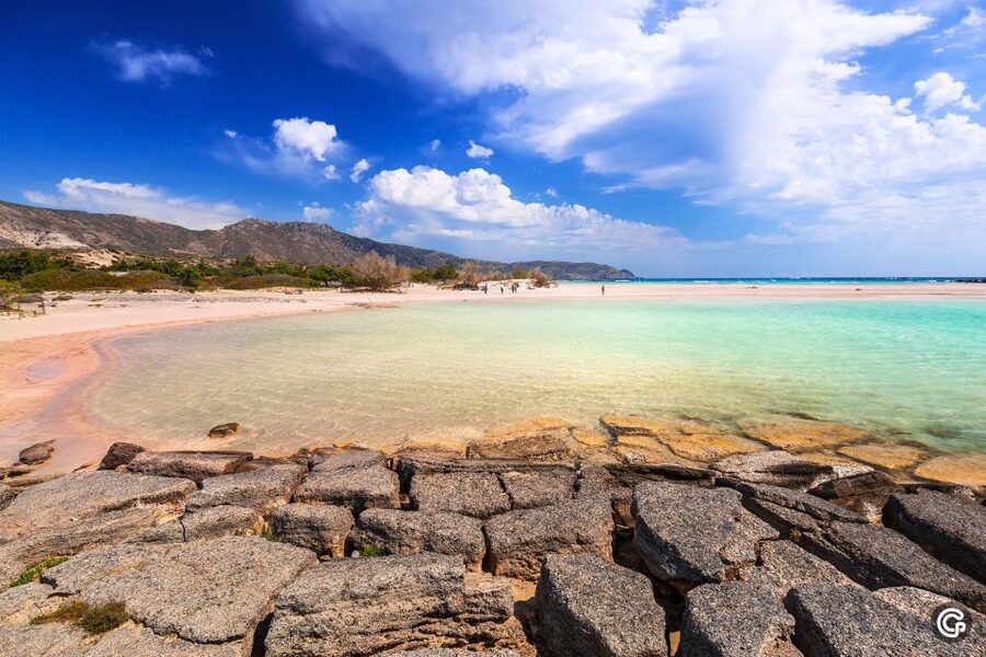 From Chania: Day Trip to Elafonisi Island Pink Sand Beach - What the guide and driver add