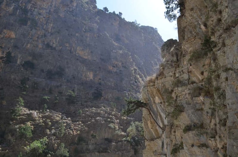 From Chania/Kalyves: Full-Day Samaria Gorge Hiking Day Trip - Entering at Xyloskalo