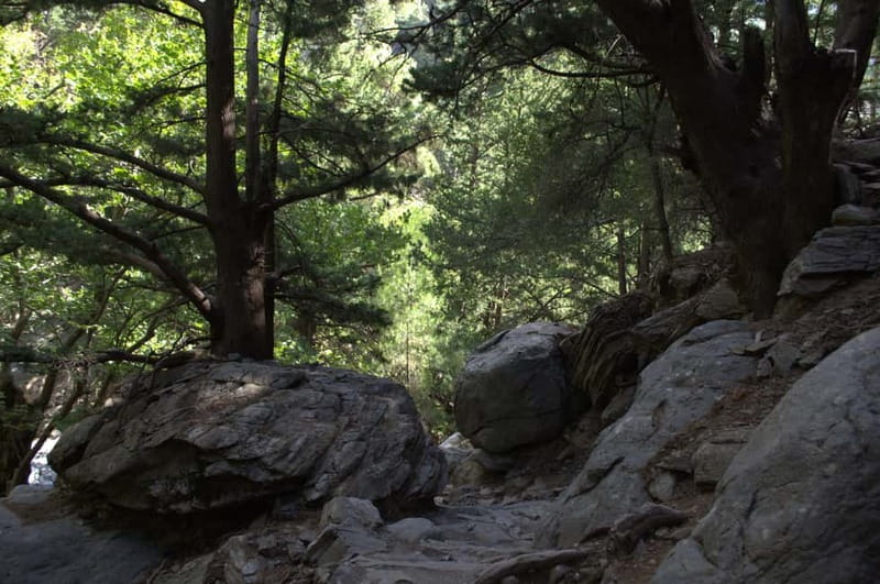From Chania/Kalyves: Full-Day Samaria Gorge Hiking Day Trip - The long downhill is the real test