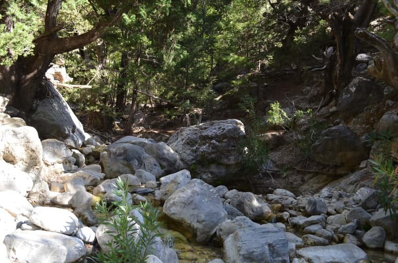 From Chania/Kalyves: Full-Day Samaria Gorge Hiking Day Trip - Four hours in Agia Roumeli