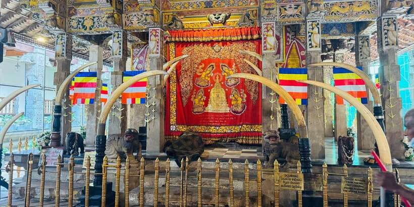 From Colombo: Kandy Full-Day Trip - Why this Colombo to Kandy day trip works