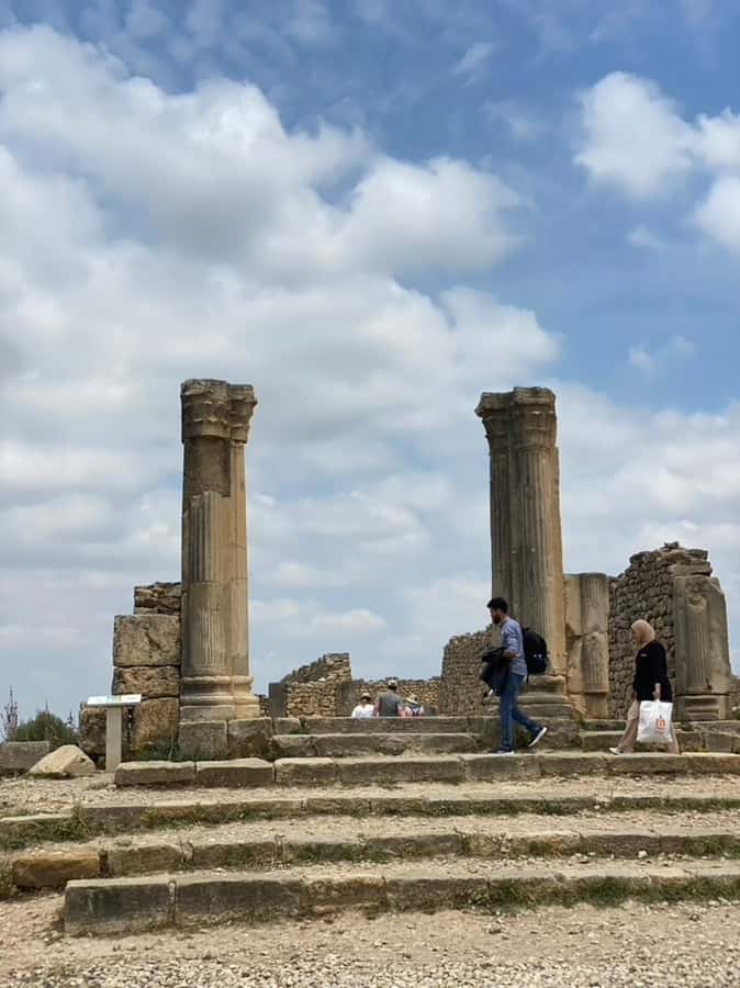 From Fes: Volubilis, Moulay Idriss, & Meknes Full-Day Trip - Who should book this day trip