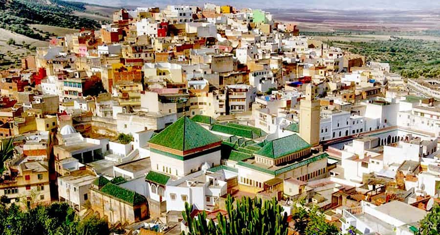 From Fes: Volubilis, Moulay Idriss, & Meknes Full-Day Trip - Walking through Roman Volubilis