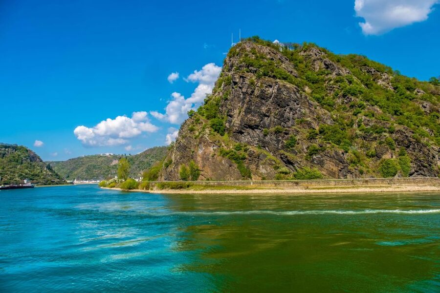 From Frankfurt: Rhine Valley Day Trip - Who will enjoy this tour most