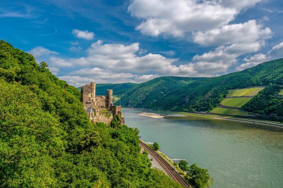 From Frankfurt: Rhine Valley Day Trip - Rüdesheim, the Niederwald Monument, and Assmannshausen