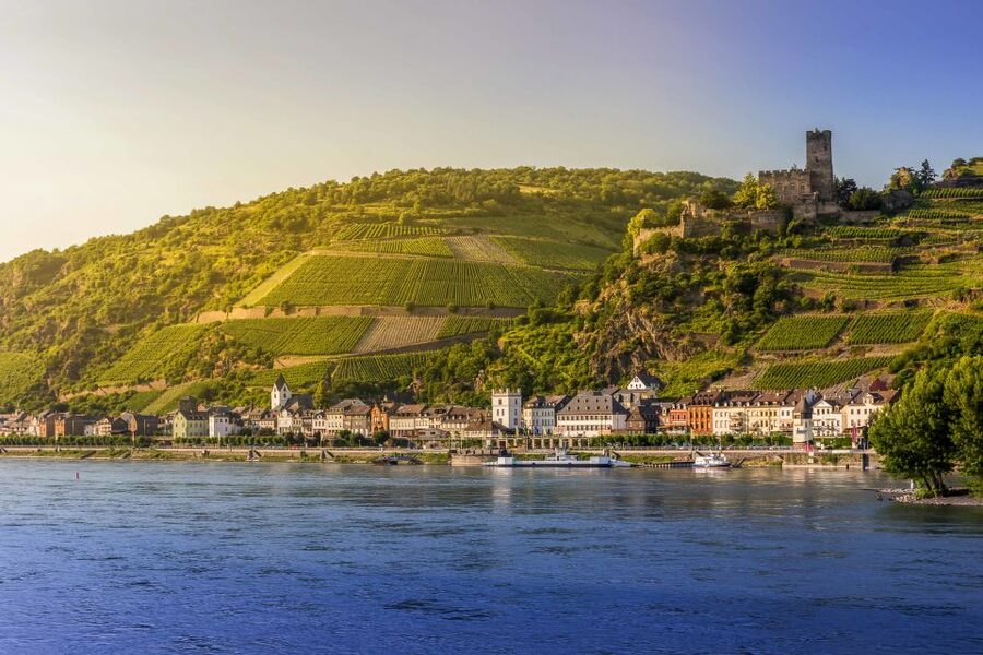 From Frankfurt: Rhine Valley Day Trip - The wine lesson and tasting