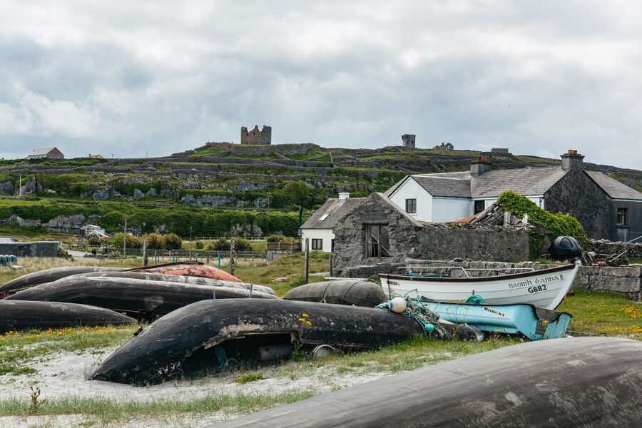 From Galway: Aran Islands & Cliffs of Moher Full-Day Trip - What to bring and who should book