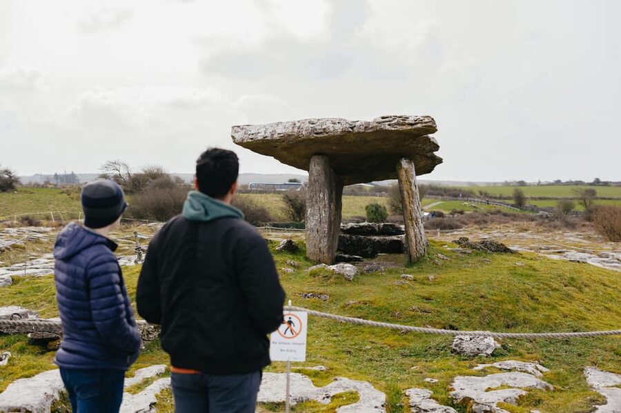 From Galway: Cliffs of Moher and The Burren Guided Day Trip - Who should book this experience