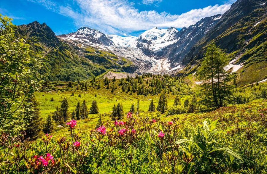 From Geneva: Chamonix Mont-Blanc Private Day Trip - Should you book it?