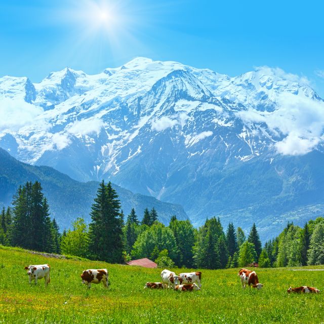 From Geneva: Chamonix Mont-Blanc Private Day Trip - Montenvers and the Mer de Glace