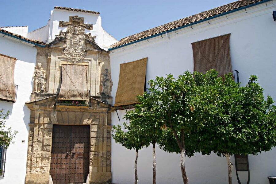 From Granada: Córdoba Day Trip with Mezquita Guided Tour - The journey from Granada to Córdoba