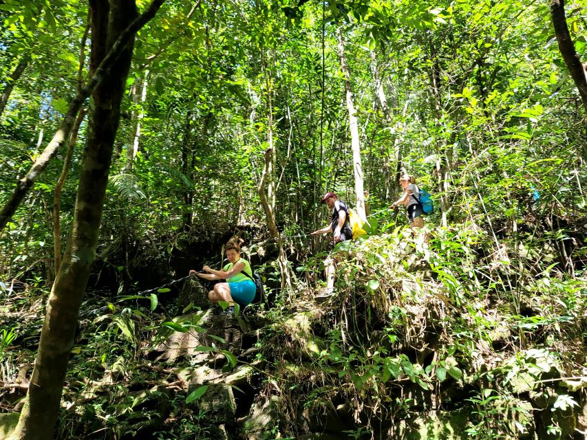 From Hue: Bach Ma National Park Hiking Day Trip with Pickup - Picnic lunch with a mountain view