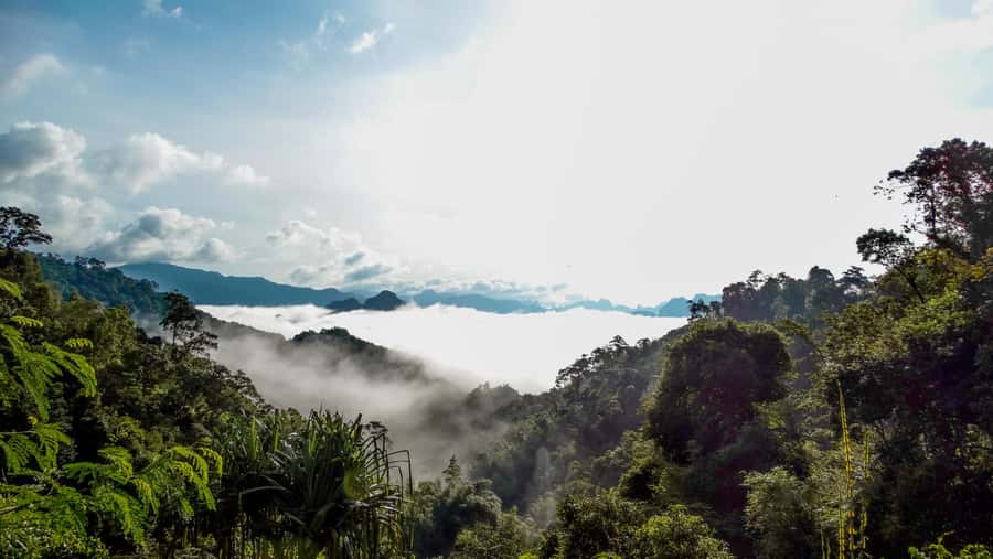 From Khao Lak: Day Trip to Khao Sok with Elephant Camp Visit - FAQ