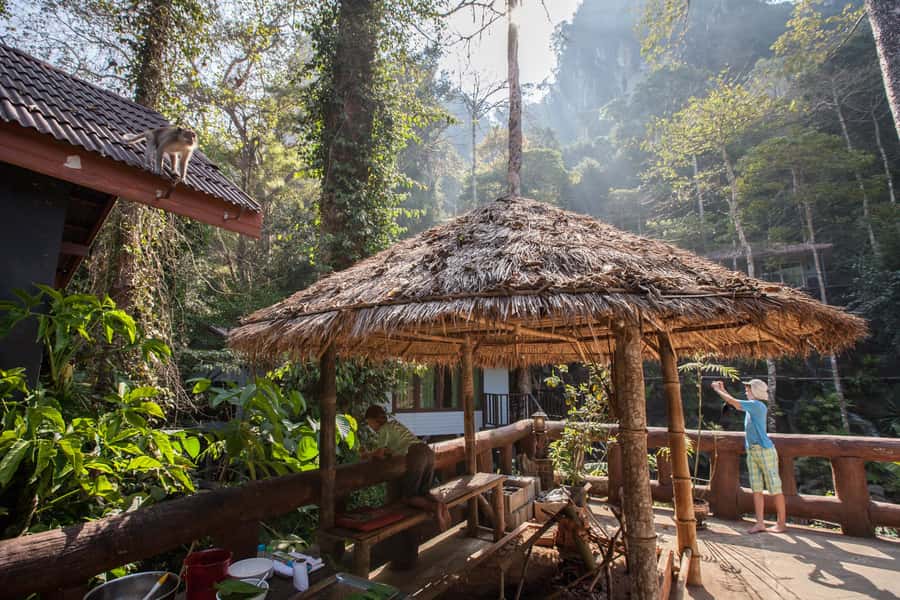 From Khao Lak: Day Trip to Khao Sok with Elephant Camp Visit - The river canoe ride below limestone cliffs