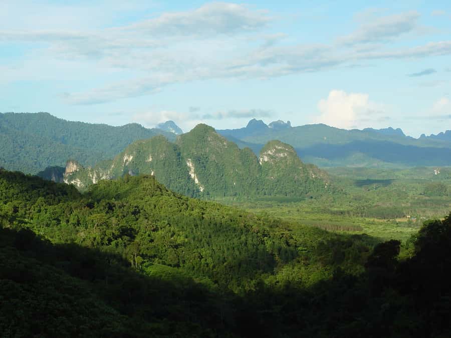 From Khao Lak: Day Trip to Khao Sok with Elephant Camp Visit - The elephant camp visit