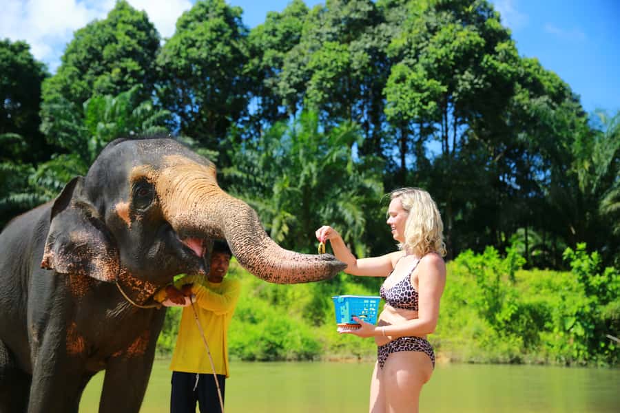 From Khao Lak: Day Trip to Khao Sok with Elephant Camp Visit - What the $99 price really covers