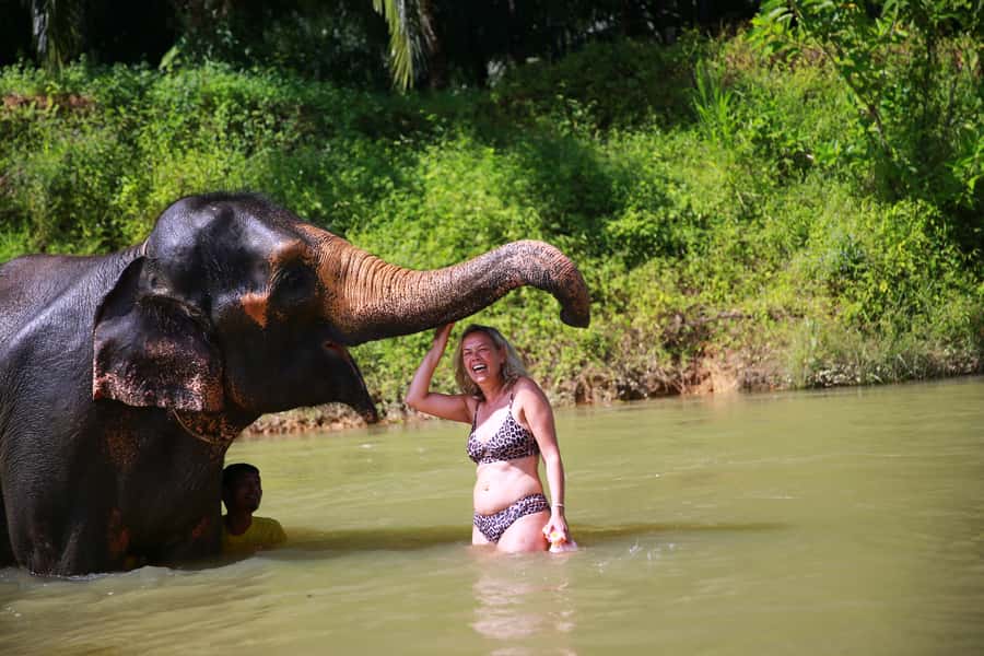 From Khao Lak: Day Trip to Khao Sok with Elephant Camp Visit - Who should book this Khao Sok day trip?