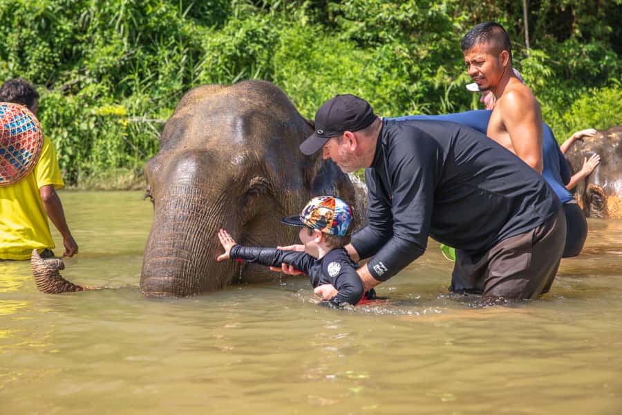 From Khao Lak: Day Trip to Khao Sok with Elephant Camp Visit - A treehouse resort lunch with mild and spicy choices