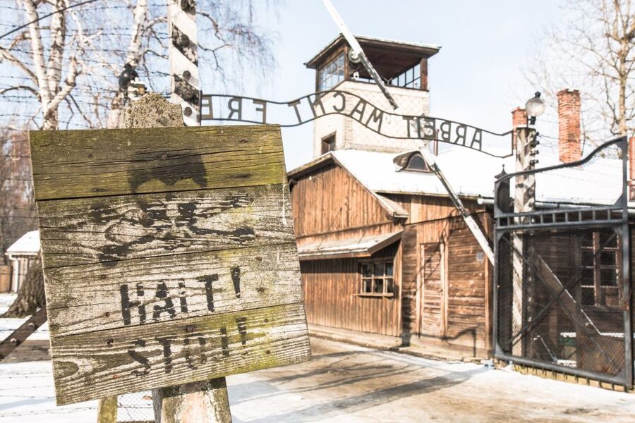 From Krakow: Auschwitz and Wieliczka Salt Mine Full-Day Trip - Key points to know before booking