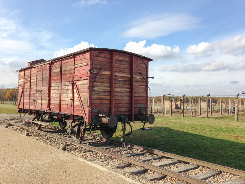 From Krakow: Auschwitz and Wieliczka Salt Mine Full-Day Trip - What the guide service adds