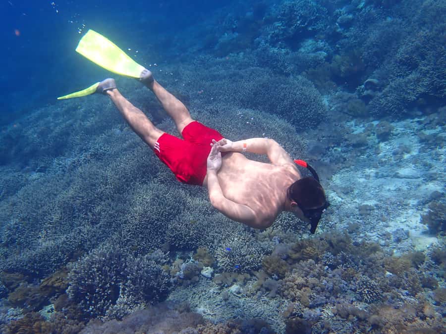 From Lembongan: Nusa Penida Snorkeling Day Trip - Why the manta encounter is worth the effort