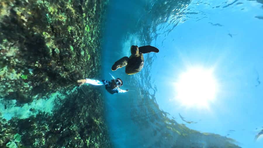 From Lembongan: Nusa Penida Snorkeling Day Trip - Three stops, three different kinds of snorkeling