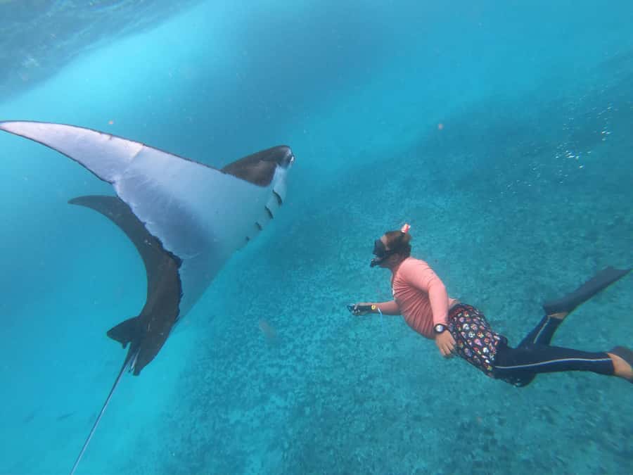 From Lembongan: Nusa Penida Snorkeling Day Trip - Starting at Mesari Beach Restaurant