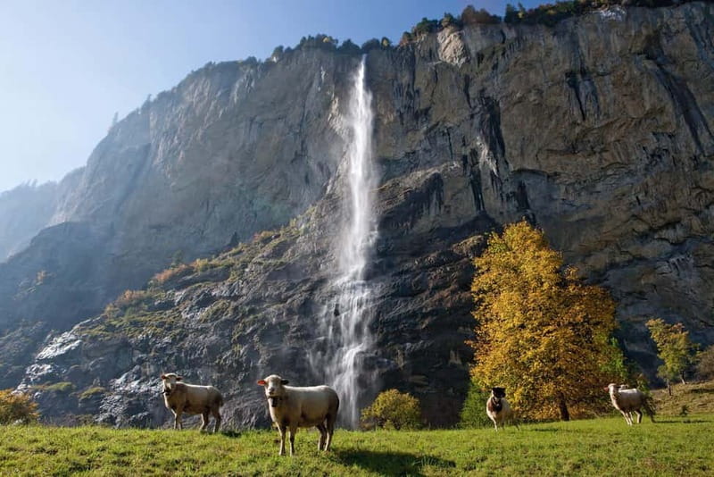 From Lucerne: Day Trip to Grindelwald & Lauterbrunnen - Why this Alpine day trip works